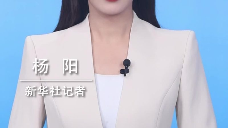 北京数字化解决方案：揭秘厂家直销的优势与选择要点**